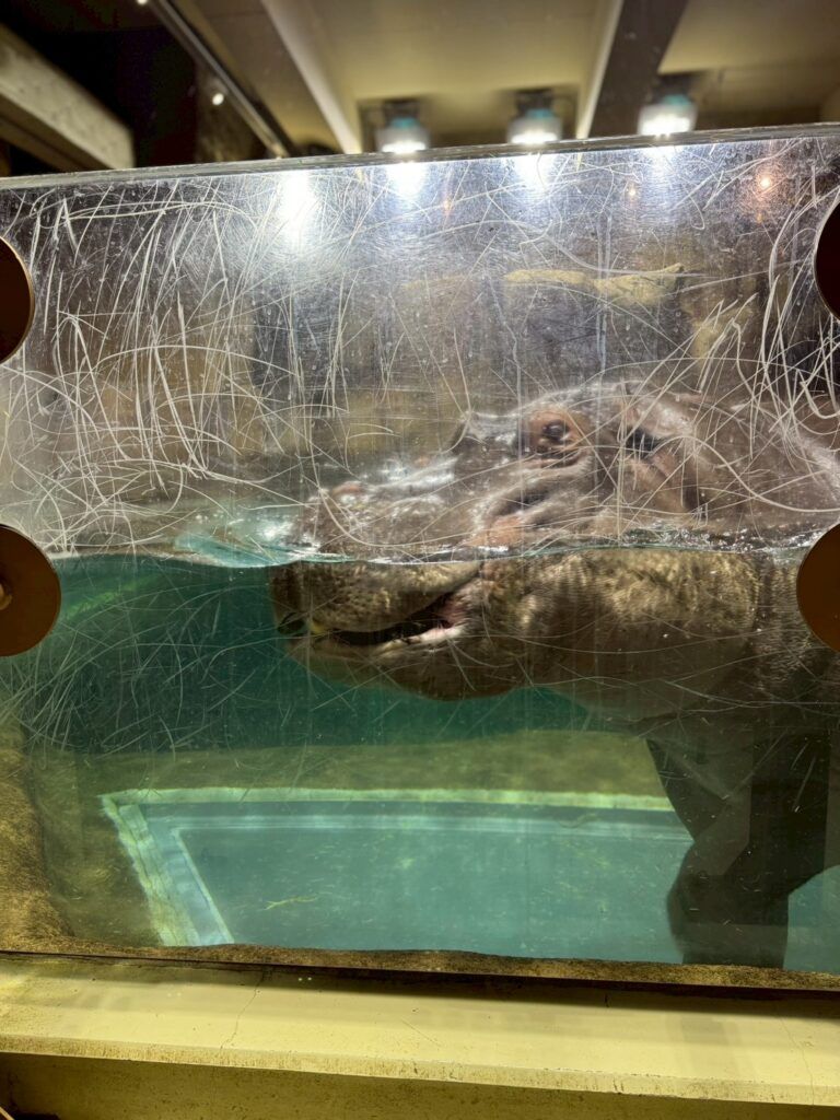 LINE_ALBUM_旭山動物園_251126_10