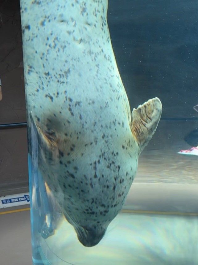 LINE_ALBUM_旭山動物園_251127_2