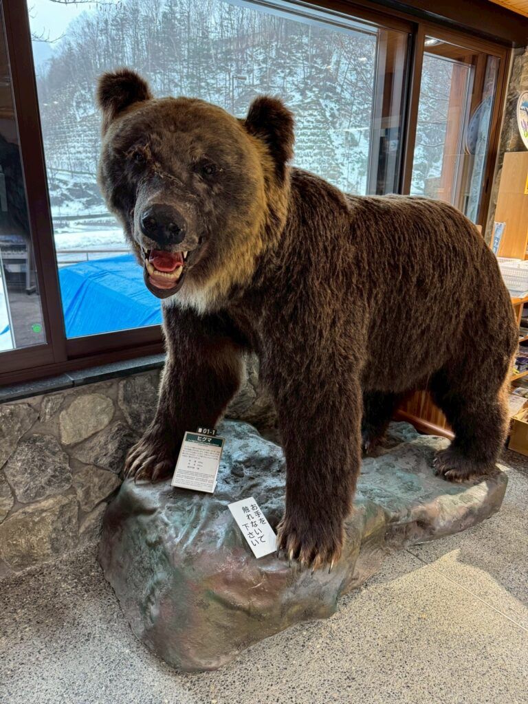 LINE_ALBUM_層雲峽遊客中心_251127_23