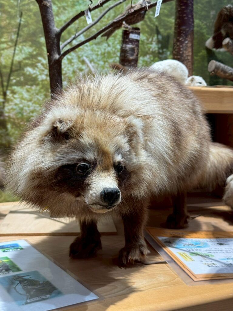 LINE_ALBUM_層雲峽遊客中心_251127_12