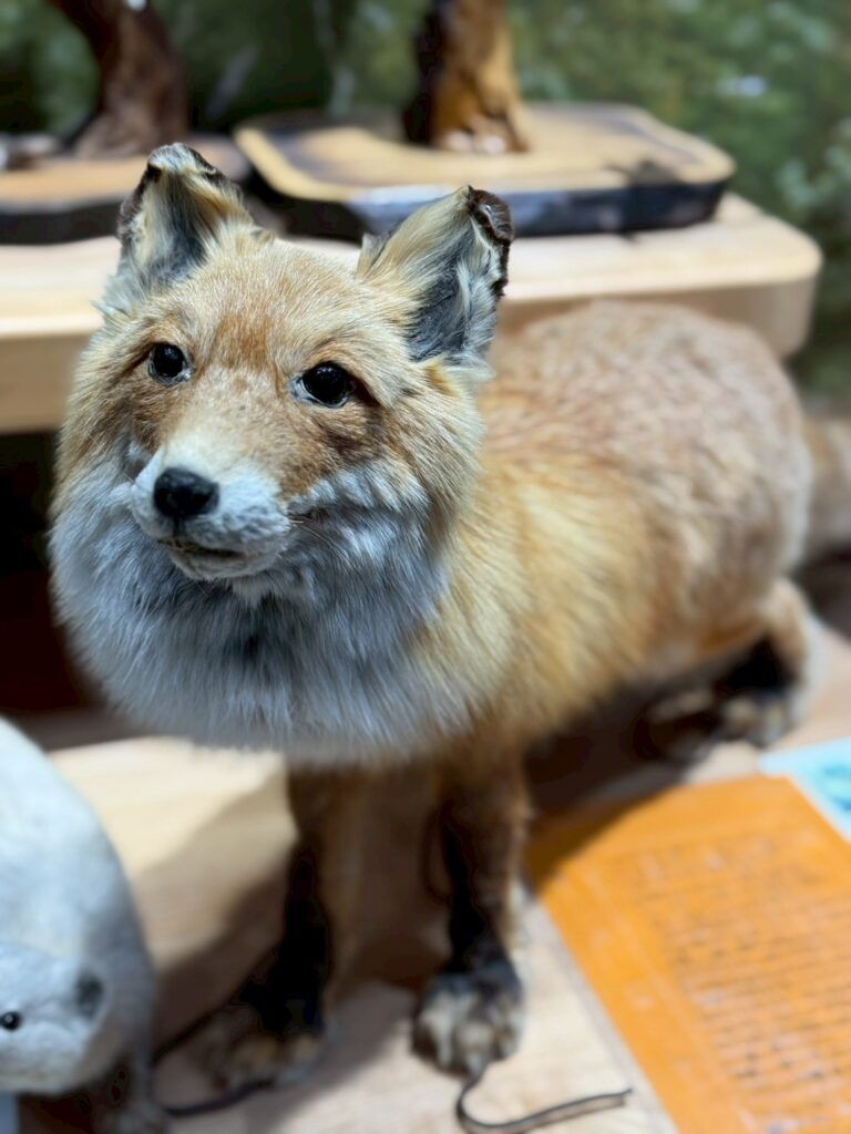 LINE_ALBUM_層雲峽遊客中心_251127_16