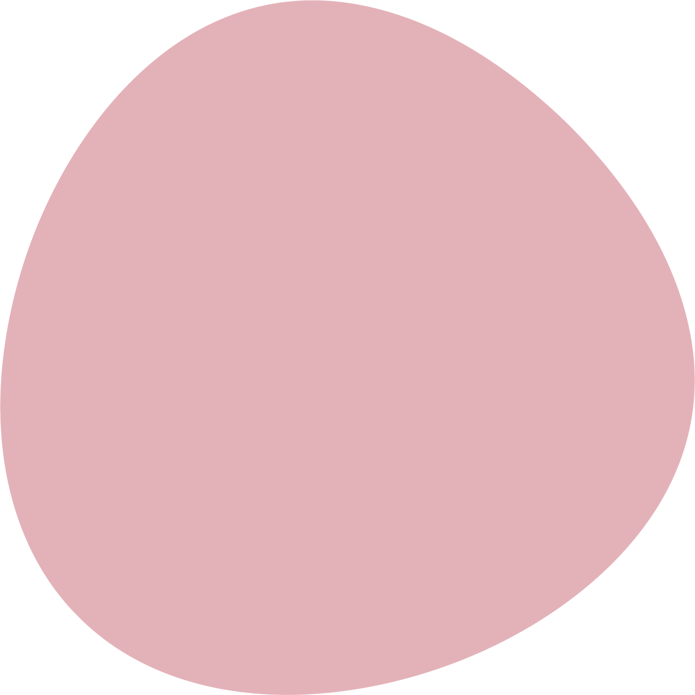 yeti on snow about us icon03