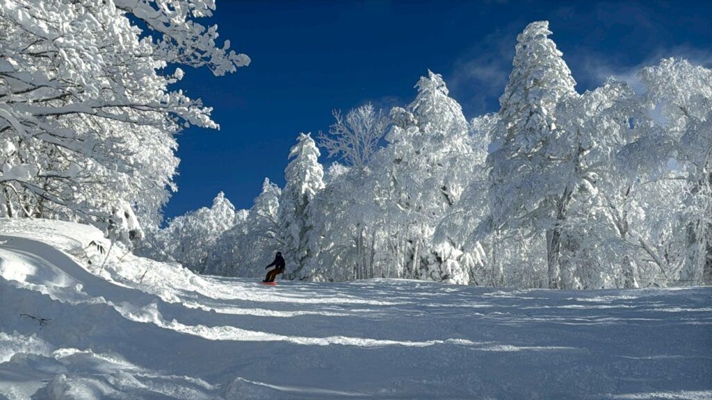 LINE_ALBUM_神居滑雪場_260117_12